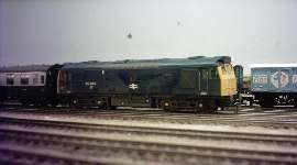 Class 25 Diesel