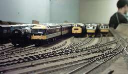 Variety of diesels in the fiddle yard. 