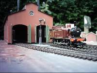 Jinty on shed at L�vh�jden